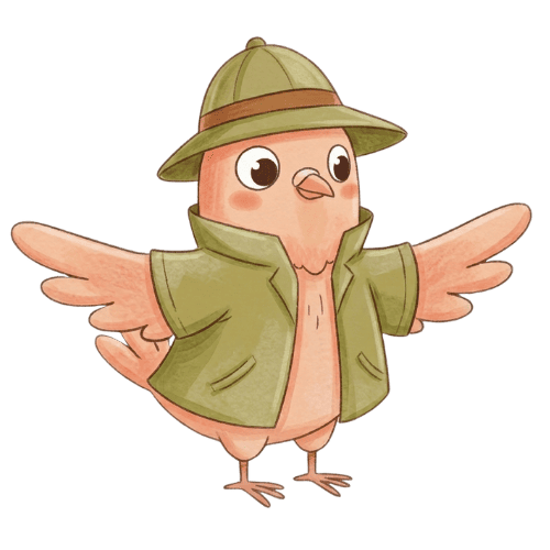 ilustrační obrázek holoubek_2