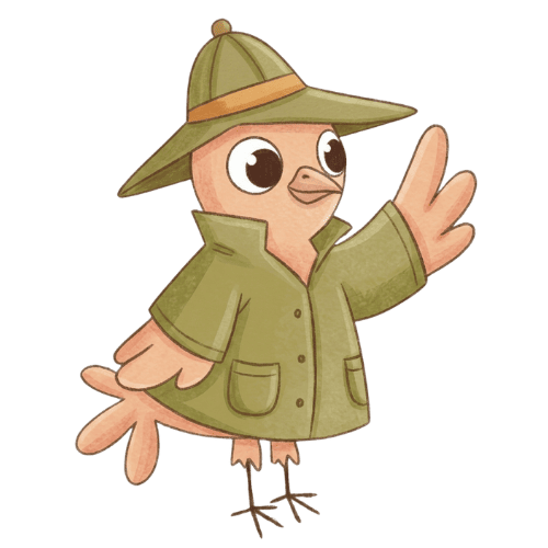 ilustrační obrázek holoubek_5