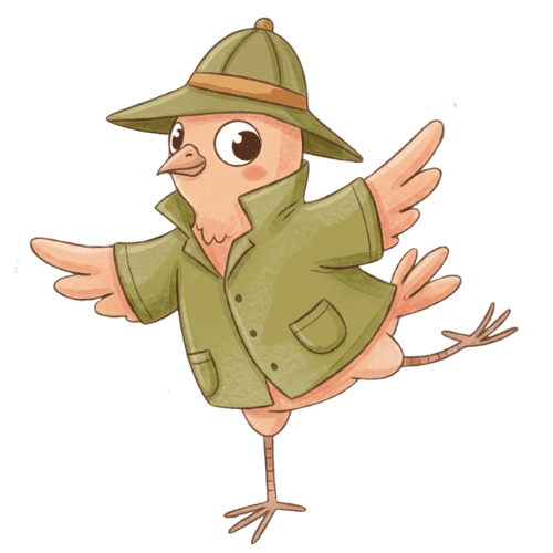 ilustrační obrázek holoubek_6